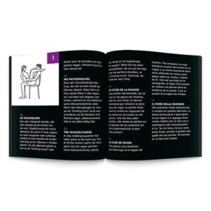 SEX ROULETTE KAMASUTRA (NL-DE-EN-FR-ES-IT-PL-RU-SE-NO) – Image 3