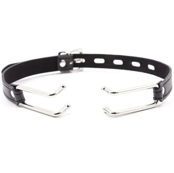 img_114170_2c40763b11613de47715c433bc6857bc_1