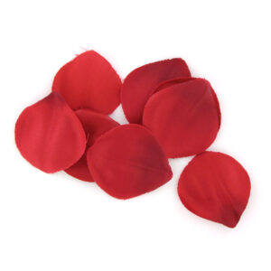 EXTASE SENSUEL COFFRET ROUGE TENTATION – Image 4