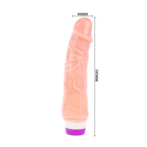 BAILE JELLY VIBROMASSEUR PENIS FORME REALISTE 20CM CHAIR – Image 5