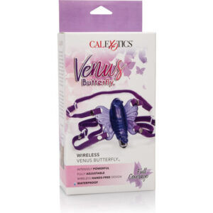 PAPILLON VENUS SANS FIL CALEX – Image 3