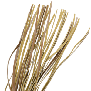 FETISH SUBMISSIVE ORIGIN - FOUET EN CUIR VEGAN – Image 3