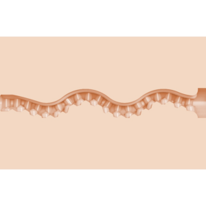 FLESHLIGHT GIRLS MAITLAND WARD ANO TEXTURA TIGHT CHICKS – Image 3