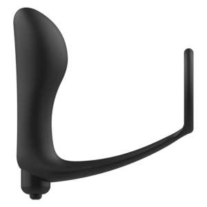 PLUG ANAL VIBRATOIRE ADDICTED TOYS AVEC ANNEAU DE PÉNIS – Image 3