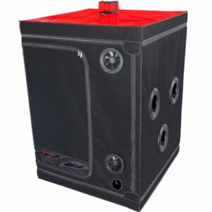 SECRET DOME - KINK CLUB CABINE SCANDALE VIOLET , NOIR & ROUGE – Image 22